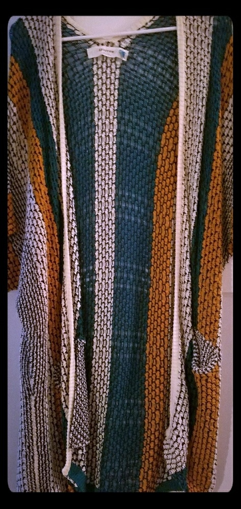 Sparrow cardigan from Anthropologie